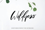Procreate Brushes Set I, a Brush Add-On by Creator Goodies (Thumbnail 2 of 12)
