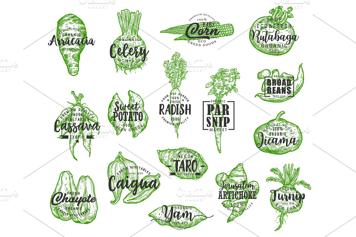 Exotic vegetable with lettering, a Food Illustration by Vector Tradition