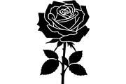 Decorative Floral Mandala Rose Butte, an Object Illustration by Designer_Momina (Thumbnail 2 of 21)