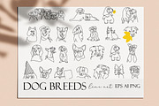 30 Dogs line art. Dog breeds, an Animal Illustration by velychko.ua (Thumbnail 4 of 5)