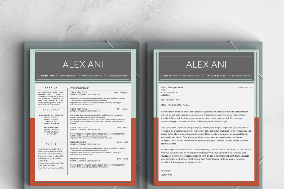 Alex Ani Modern 2-Page Resume, a Resume Template by Stand Out Shop (Photo 4 of 4)