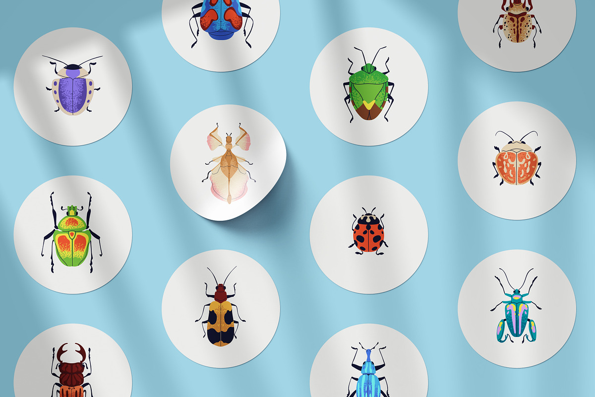 Summer bugs, insects. Beetles set, an Animal Illustration by Good Studio