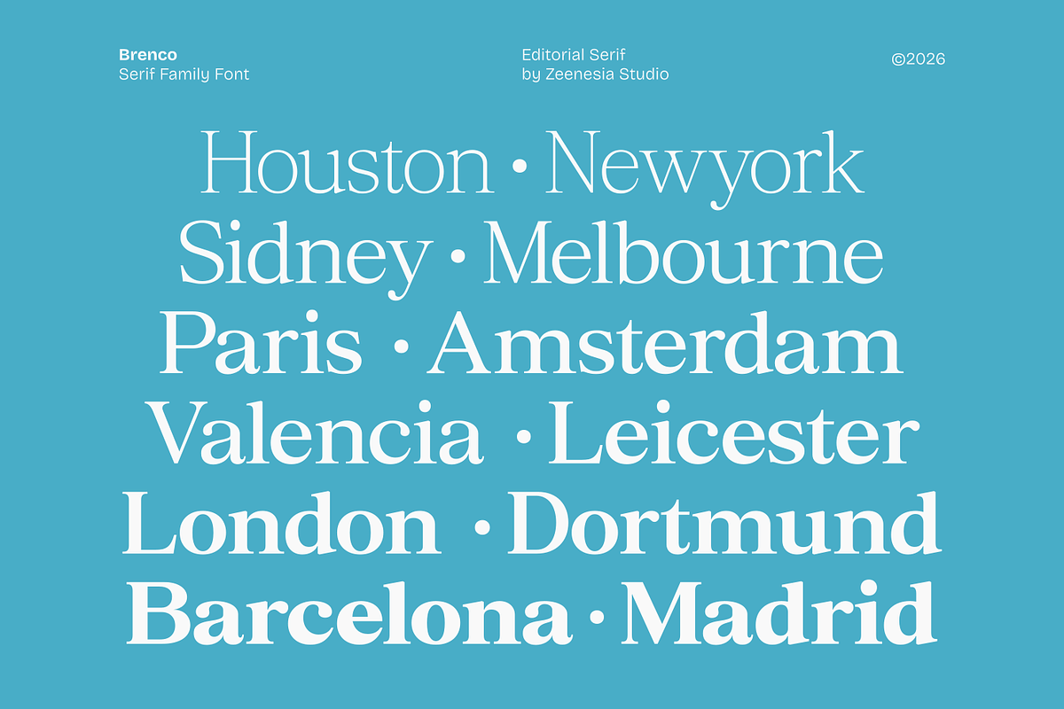 Brenco, a Serif Font by zeenesia (Photo 16 of 17)
