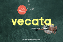 Modern Sans Serif Font - Vecata