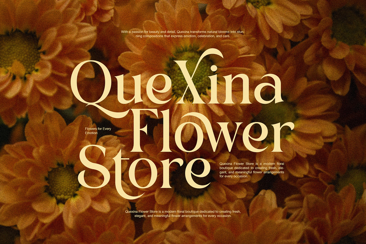 Lovika Elegant Fashion Serif Font, a Serif Font by Graphicxell (Photo 3 of 8)