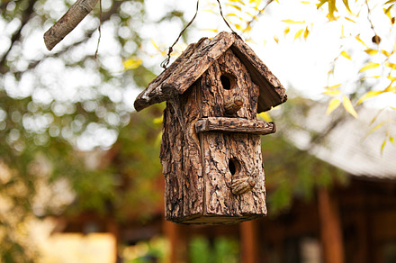Bird house stock photo containing bird and house