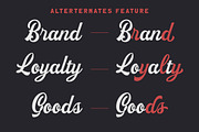 Revictus Script, a Script Font by Letterhend Studio (Thumbnail 5 of 9)