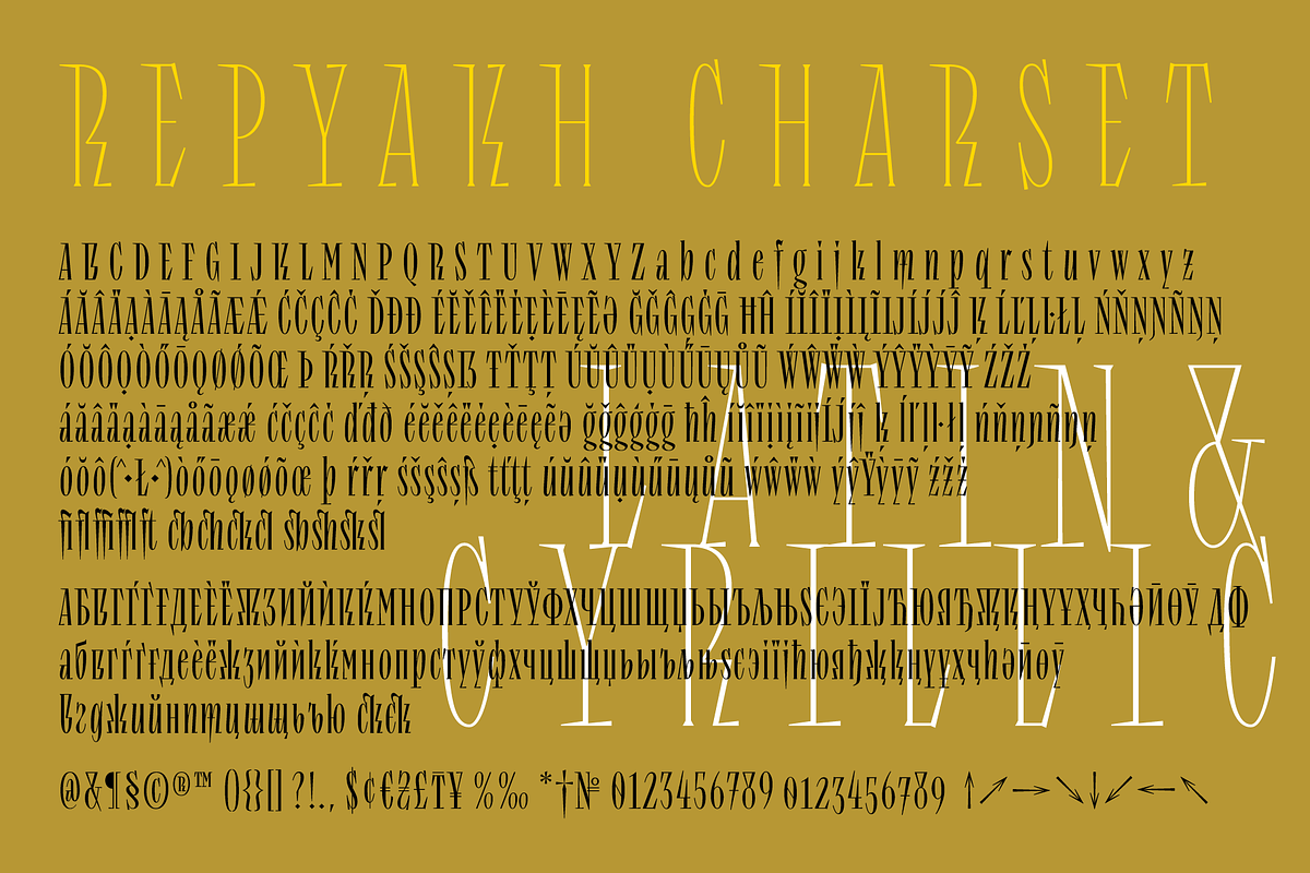 Repyakh Serif type family, a Serif Font by LevType (Photo 14 of 14)
