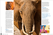Travel Magazine, a Magazine Template by potterDesigns (Thumbnail 11 of 13)
