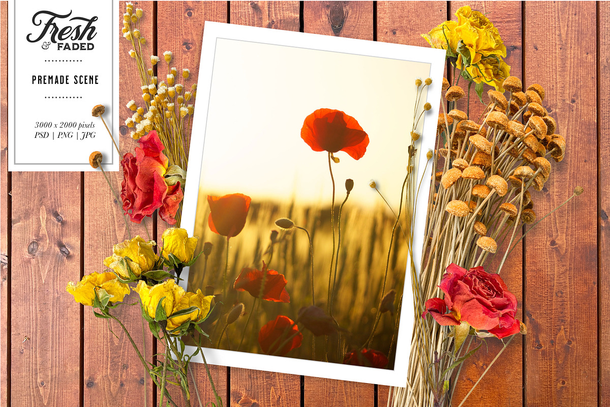 Fresh & Dried Floral Flay Lay Vol 2, a Product Mockup by Eclectic Anthology (Photo 5 of 7)