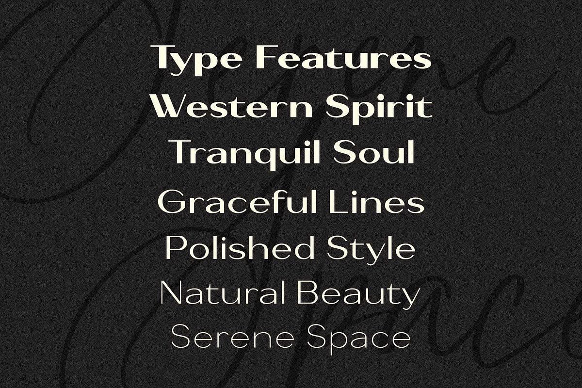 Bavero - Contemporary Sans Family, a Sans Serif Font by Novitype (Photo 9 of 13)