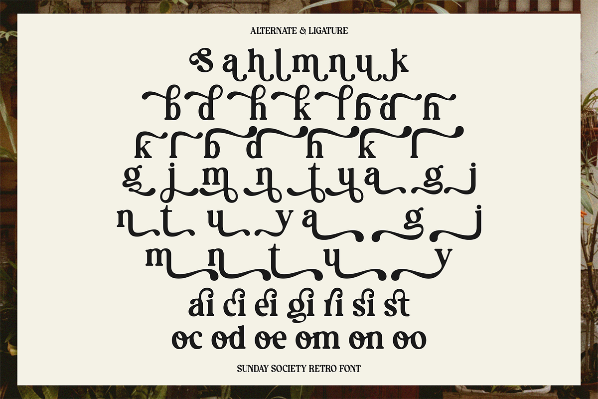 Sunday Society | Modern Retro Serif, a Serif Font by BlancaLab Studio (Photo 5 of 6)