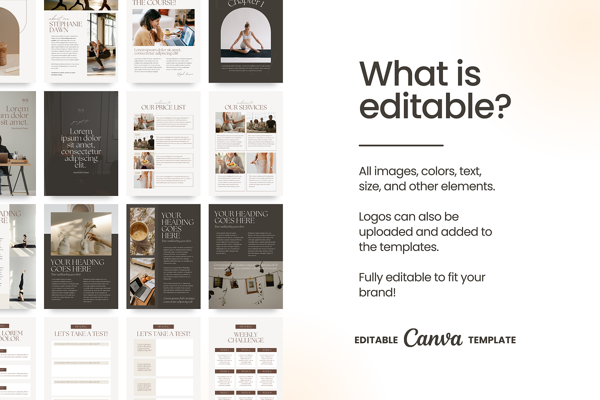 Workbook, Ebook, Canva Template, a Marketing Template by Studio B | Canva Template (Photo 4 of 6)