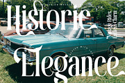 Theforest Modern Serif Font, a Serif Font by timelesstype.co (Thumbnail 4 of 20)