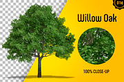 CUT OUT TREES - 60 PCS BUNDLE, a Packaging Mockup by 3DSTORE (Thumbnail 15 of 63)
