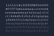 Saficel | With 18 Font, a Serif Font by Pista Mova (Thumbnail 8 of 12)