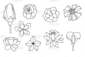 Set flowers