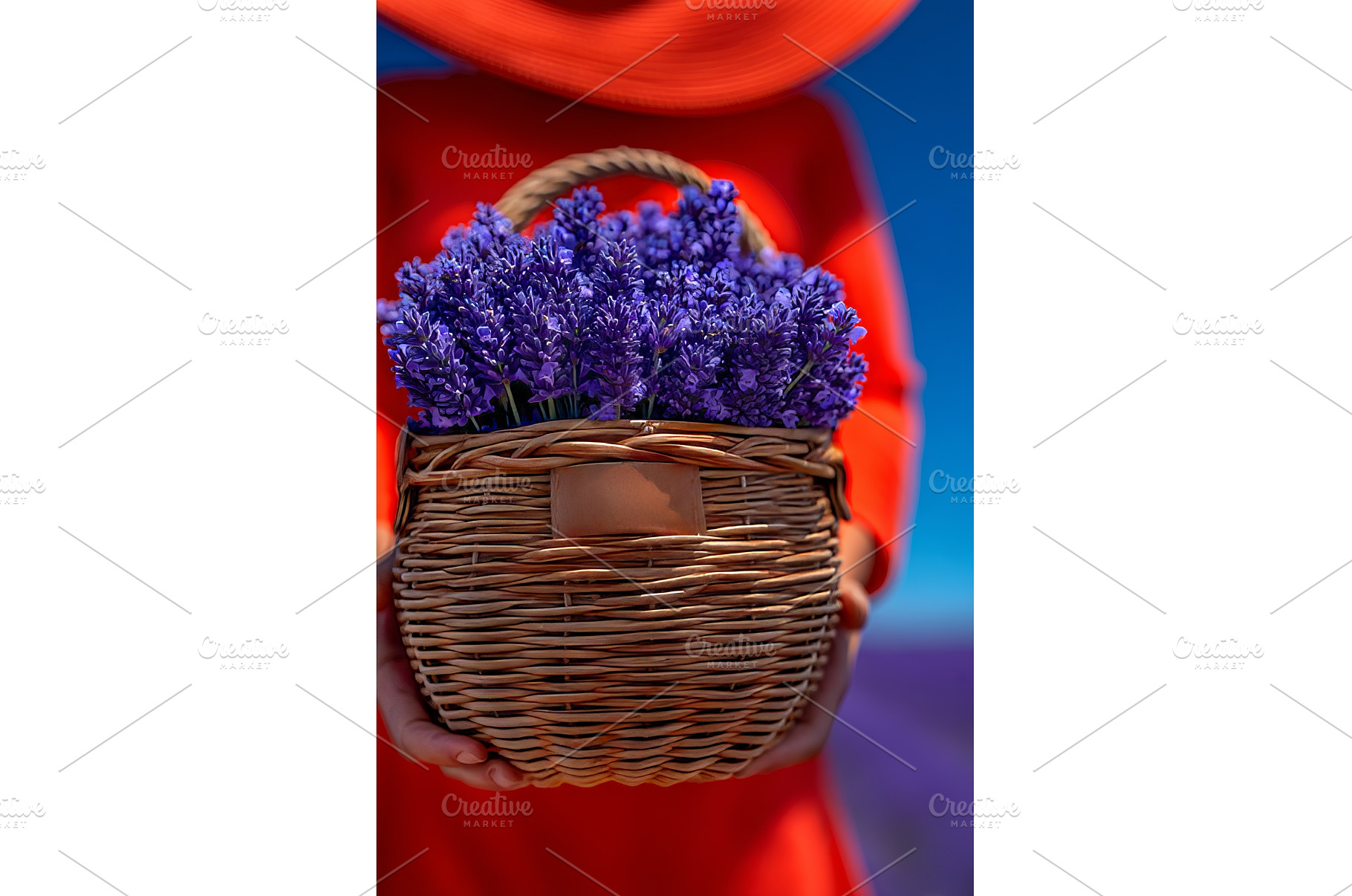 A young woman gathers lavender with, a Beauty & Fashion Photo by ZinetroN