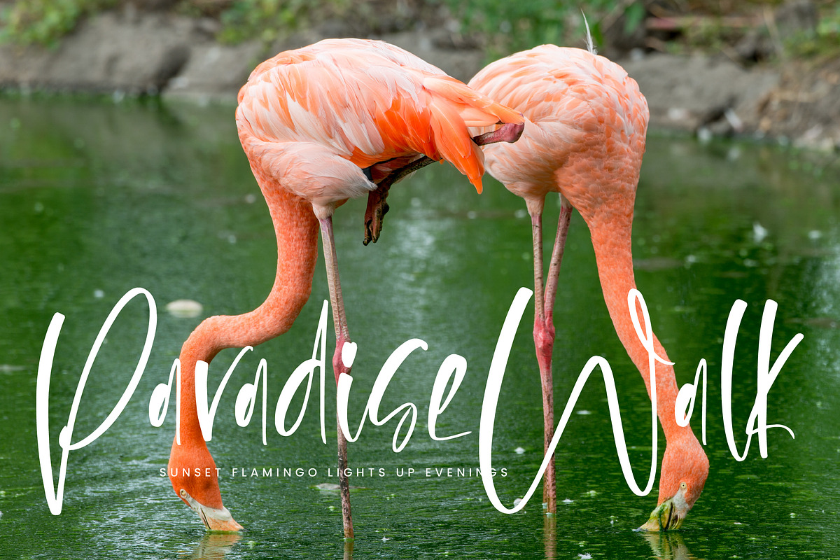 Flesmingo, a Handwritten Font by Integritype Studio (Photo 12 of 15)