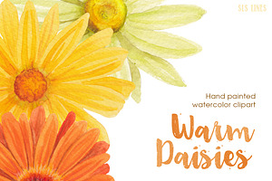 Warm Color Daisy Florals