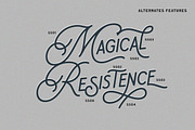 Daily Magnolines - Monoline Typeface, a Handwritten Font by Letterhend Studio (Thumbnail 9 of 9)