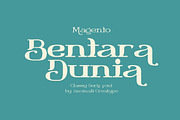 Magento Retro Display Serif Font, a Serif Font by Anomali Creatype (Thumbnail 5 of 12)