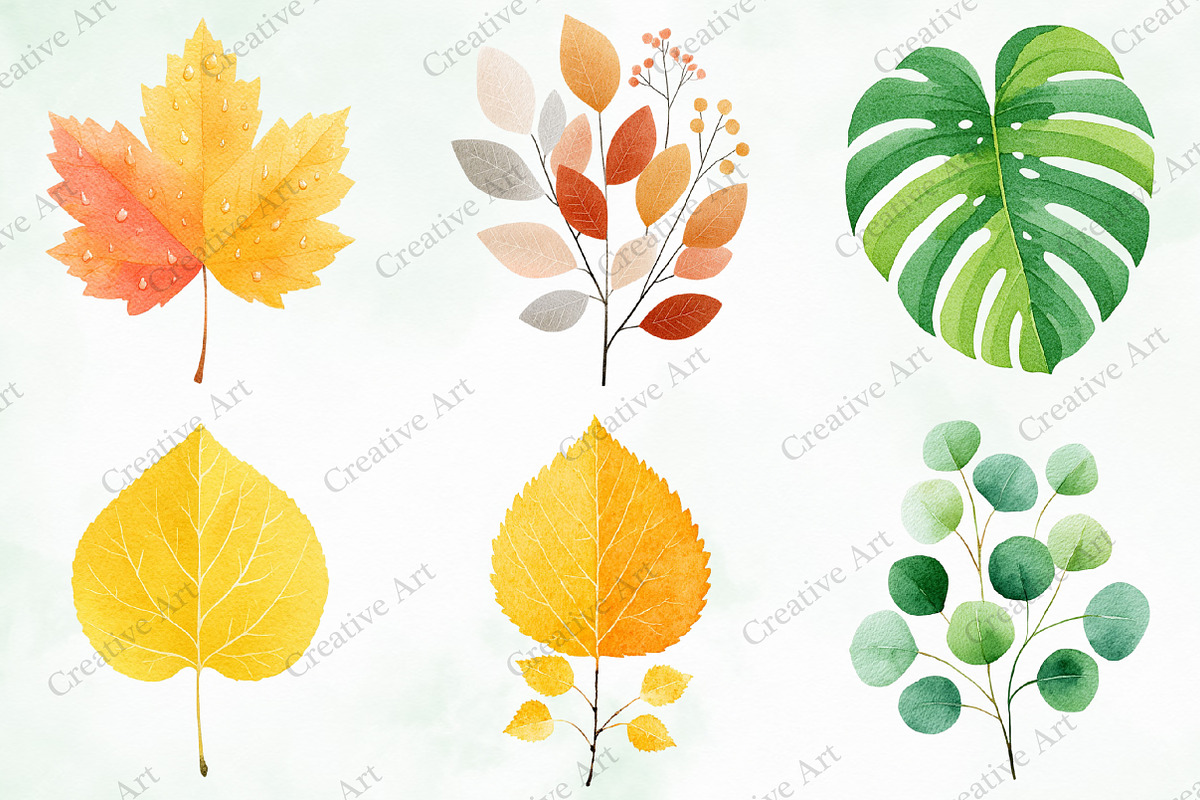 Watercolor Leaves Clipart Set, an Illustration by Creative Art (Photo 5 of 10)