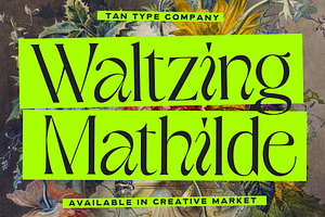 TAN - WALTZING MATHILDE, a Font by TanType