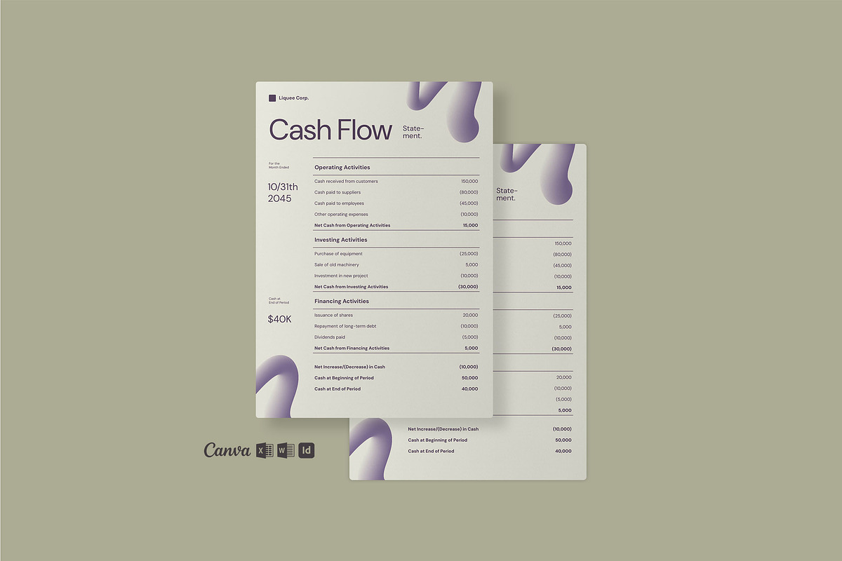Cashflow Statement Report - Liquee