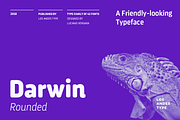 Darwin Rounded - Family 50% off, a Sans Serif Font by Los Andes Type (Thumbnail 1 of 15)