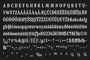 TF Mighu - Modern Slab Serif, a Serif Font by Type Flock (Thumbnail 12 of 15)