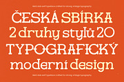 Gatius Rodeo Vintage Slab Serif, a Slab Serif Font by timelesstype.co (Thumbnail 19 of 20)