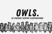 OWLS | 23 Vintage Vectors, an Animal Illustration by Britt & Kit (Thumbnail 1 of 2)