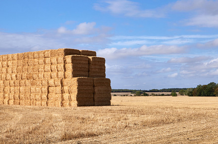 Panorama field with hay stacks