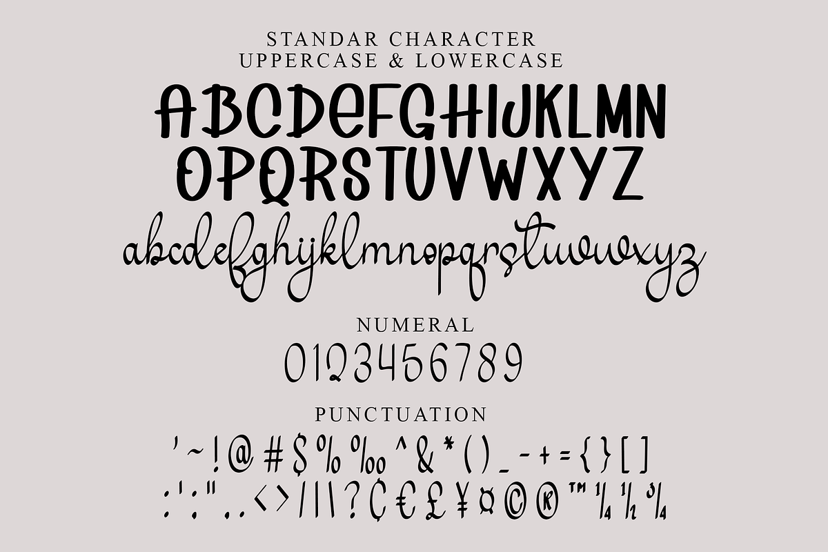 Vintage Collection, a Handwritten Font by FreshTypeINK (Photo 7 of 8)