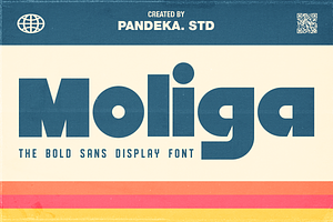 Moliga - Display Bold Sans