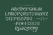 Eiclare Decorative Display Font, a Handwritten Font by Maulana Creative (Thumbnail 2 of 7)