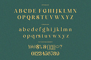 Violetta Estrada - Elegant Luxury, a Serif Font by Qweera Studio (Thumbnail 10 of 12)
