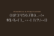 Meridian Premium Serif Font, a Serif Font by Artiveko (Thumbnail 9 of 11)