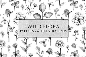 Wild flora. Drawings and patterns