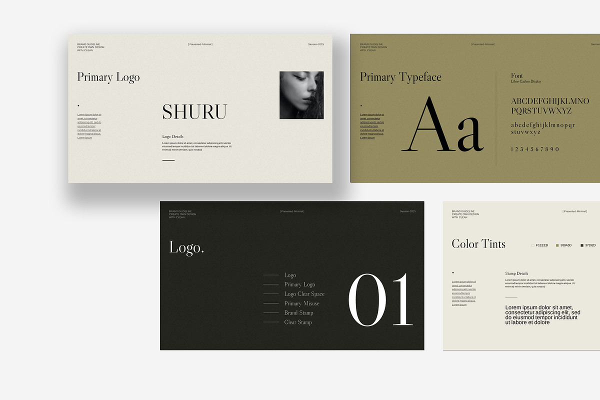 Brand Guideline Template, a Presentation Template by slidestock55 (Photo 3 of 17)