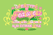 The Beautiful Lettering Collection, a Script Font by Vintage Division (Thumbnail 6 of 25)