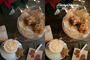 Merrychrome ACR & Lightroom Presets, an Action Add-On by Presetrain Co. (Thumbnail 2 of 11)