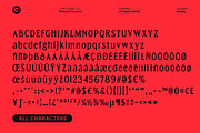 CS Napier Drawn, a Serif Font by Craft Supply Co. (Thumbnail 8 of 8)