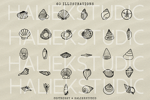 Seashell Procreate Stamp Brush Set