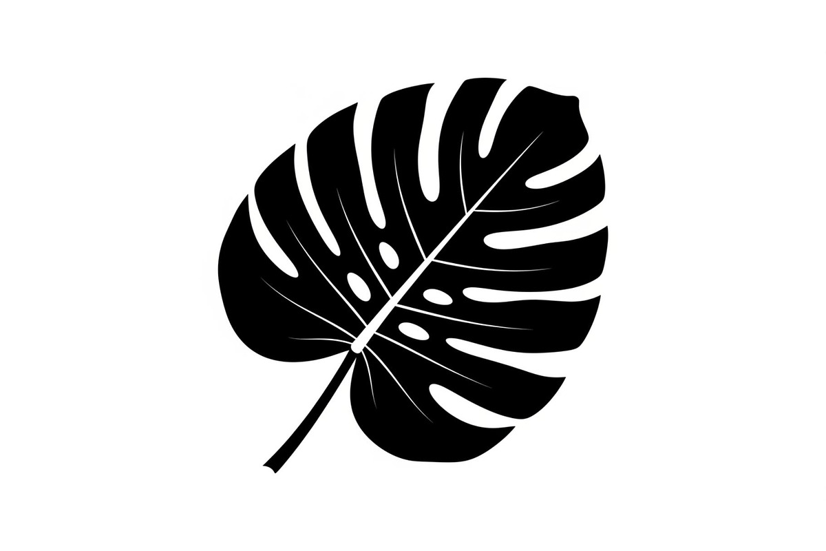 Monstera Leaf Silhouette Bundle, an Illustration by yasushie (Photo 6 of 31)