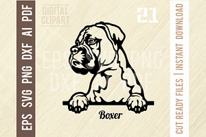 Boxer SVG - Peeking Dog Breed