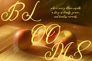 Delegatt Textured Elegant Script, a Script Font by stylishtype.co (Thumbnail 6 of 10)