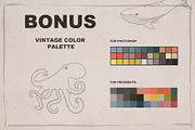 SEA STAMPS for Procreate / Photoshop, a Brush Add-On by Spark Studio Brushes (Thumbnail 6 of 7)