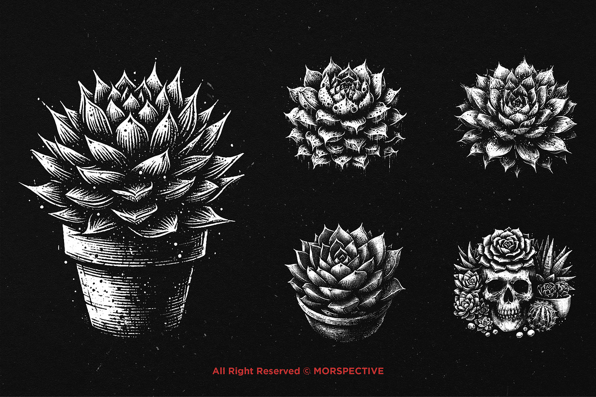 10 Bundle Dark Art Succulent Cactus, an Illustration by Morspective (Photo 5 of 7)
